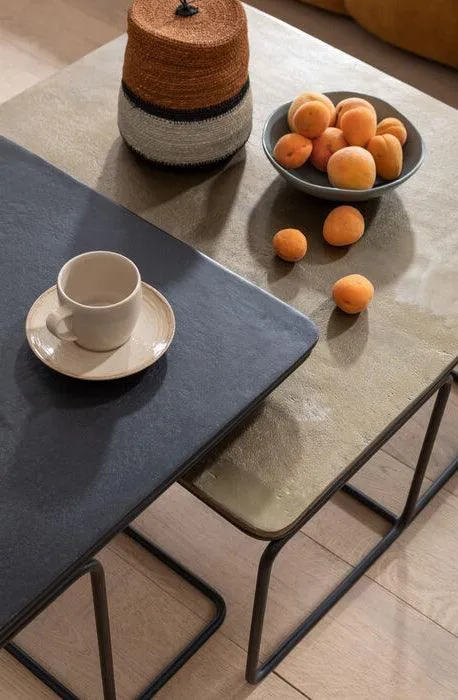 Diego Metal Coffee Table (2/Set)